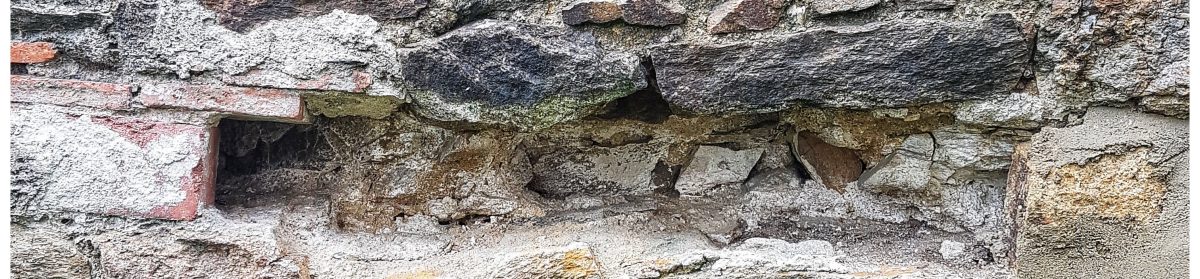 Le Champ Magnétique